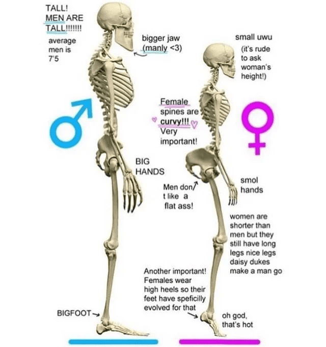 gender-specific orthopedic outcomes