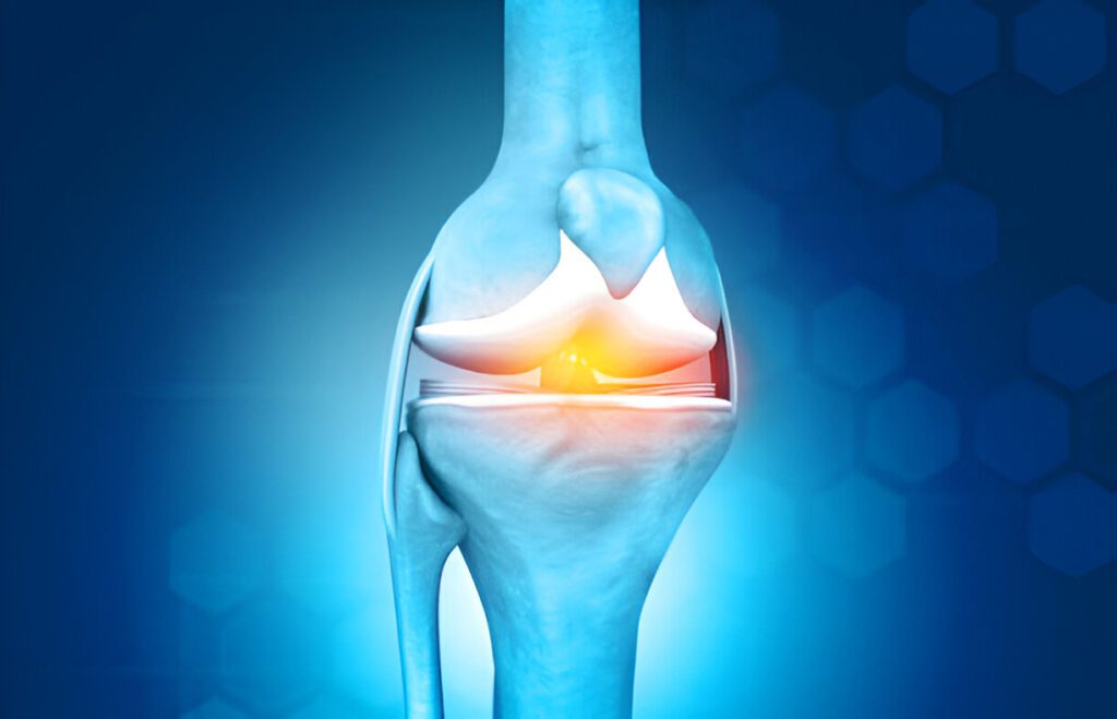 3D anatomical illustration of knee joint cross-section with blue-tinted bone structure and highlighted synovial region in orange-yellow glow against dark blue background