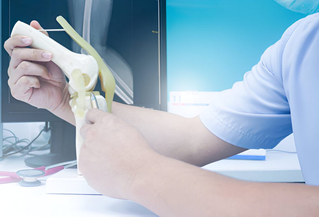 Healthcare provider demonstrating knee joint anatomy using a medical model against blue background