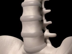 3D medical model of spinal column segment with highlighted vertebra in gold color