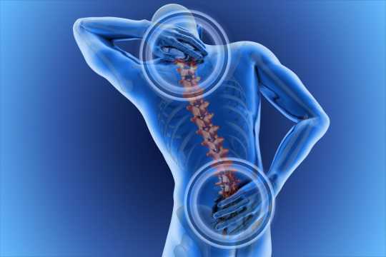 Back & Neck Pain Management